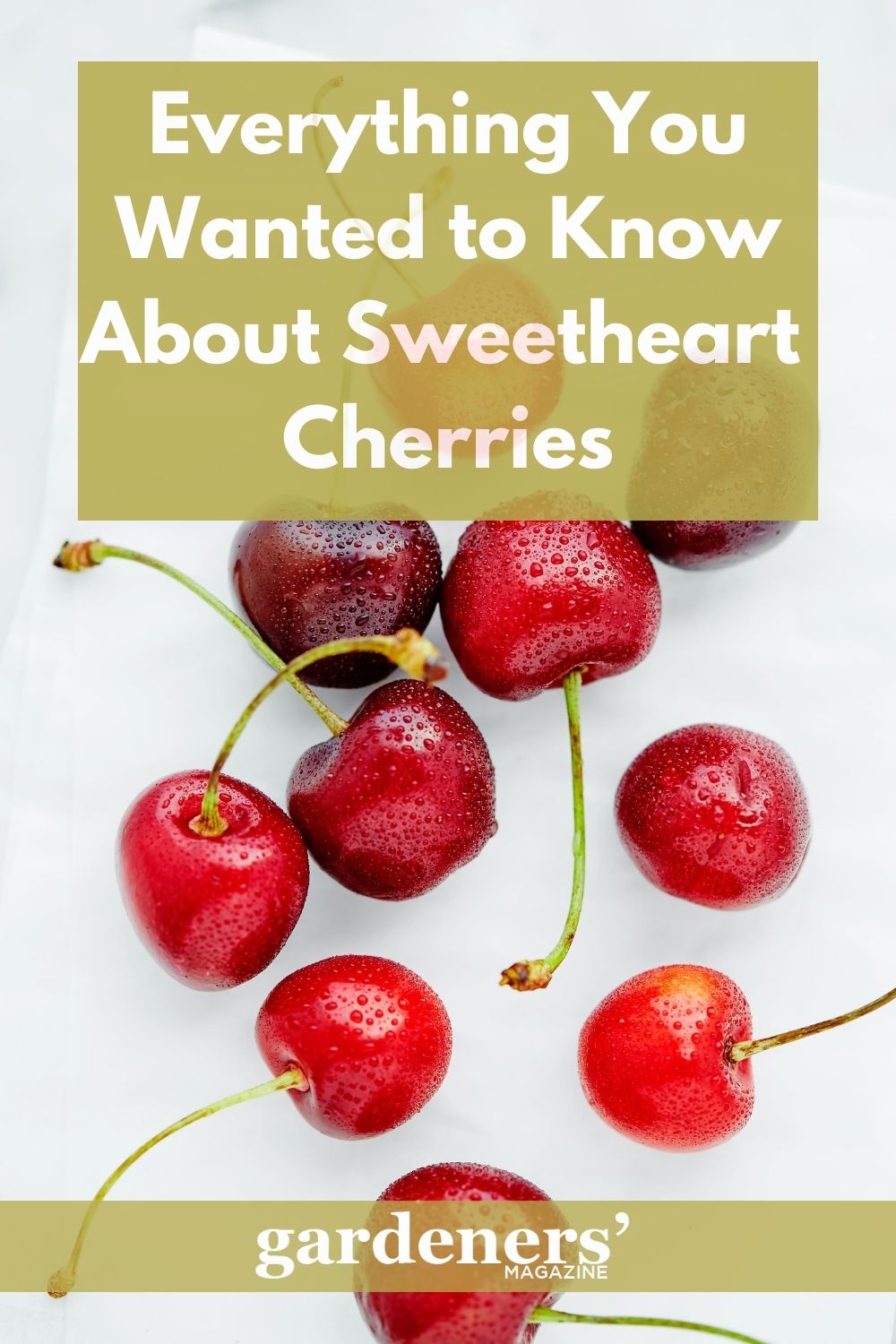 Everything You Wanted To Know About Sweetheart Cherries