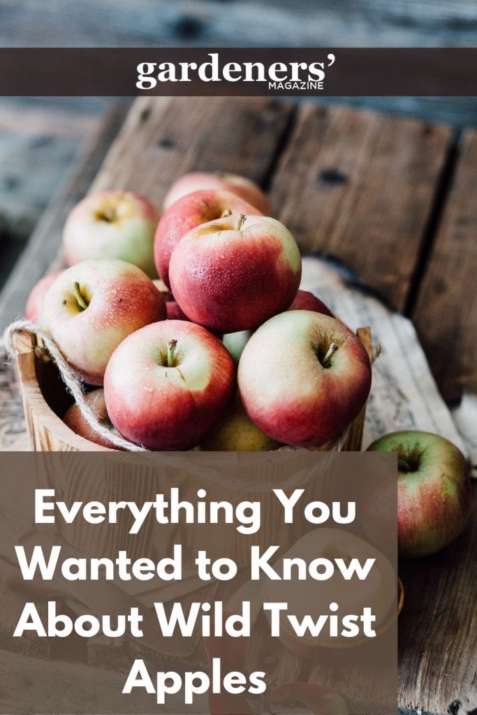 Everything you wanted to know about Wild Twist Apples