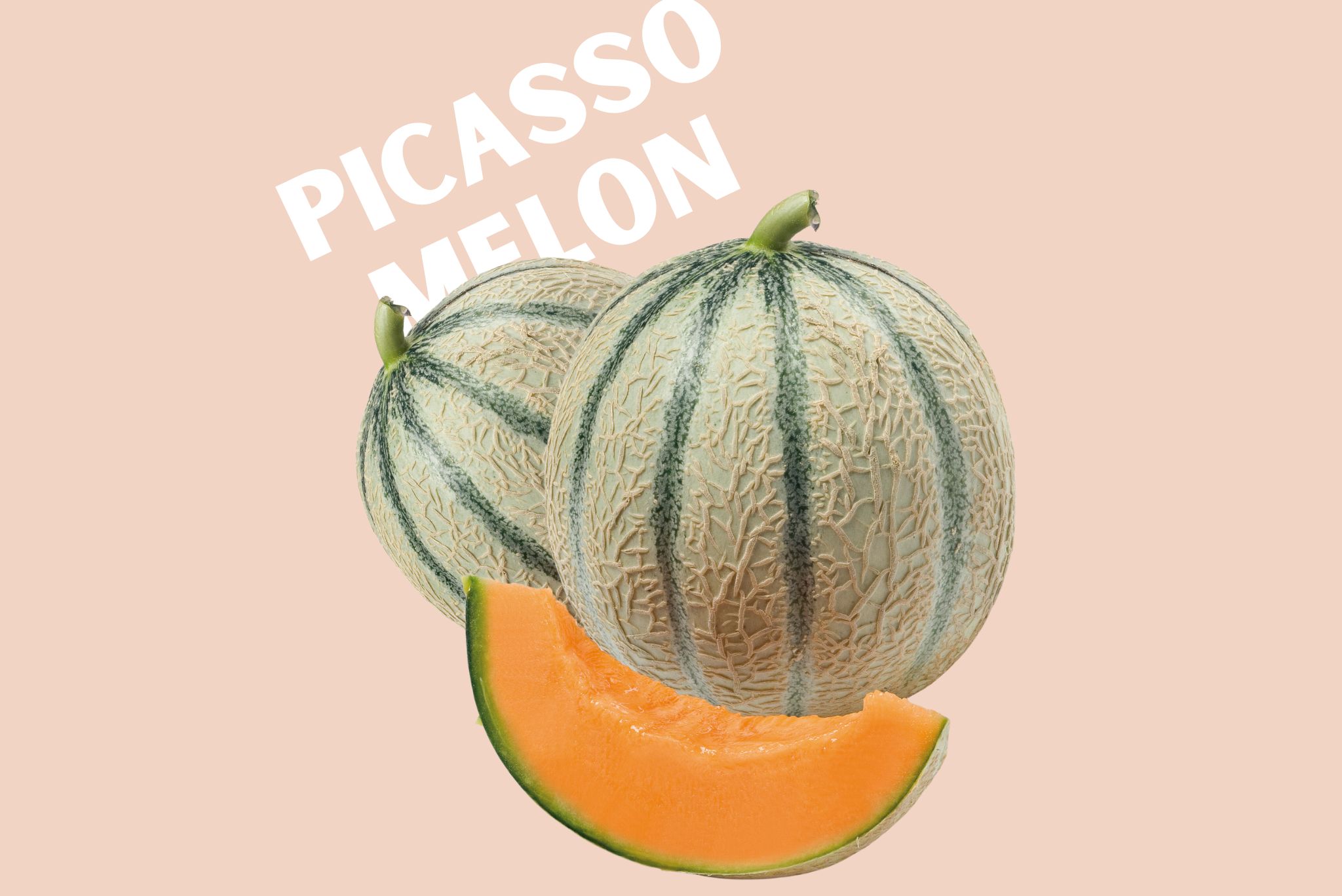 Picasso melon whole and sliced