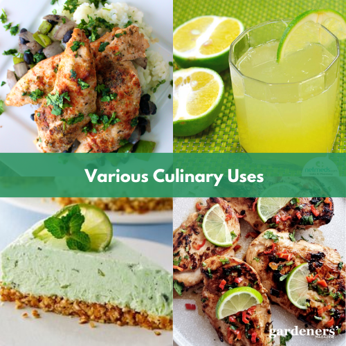various culinary uses