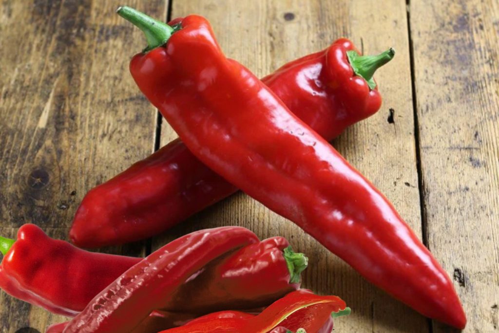 Everything You Wanted To Know About Red Romano Chile Peppers