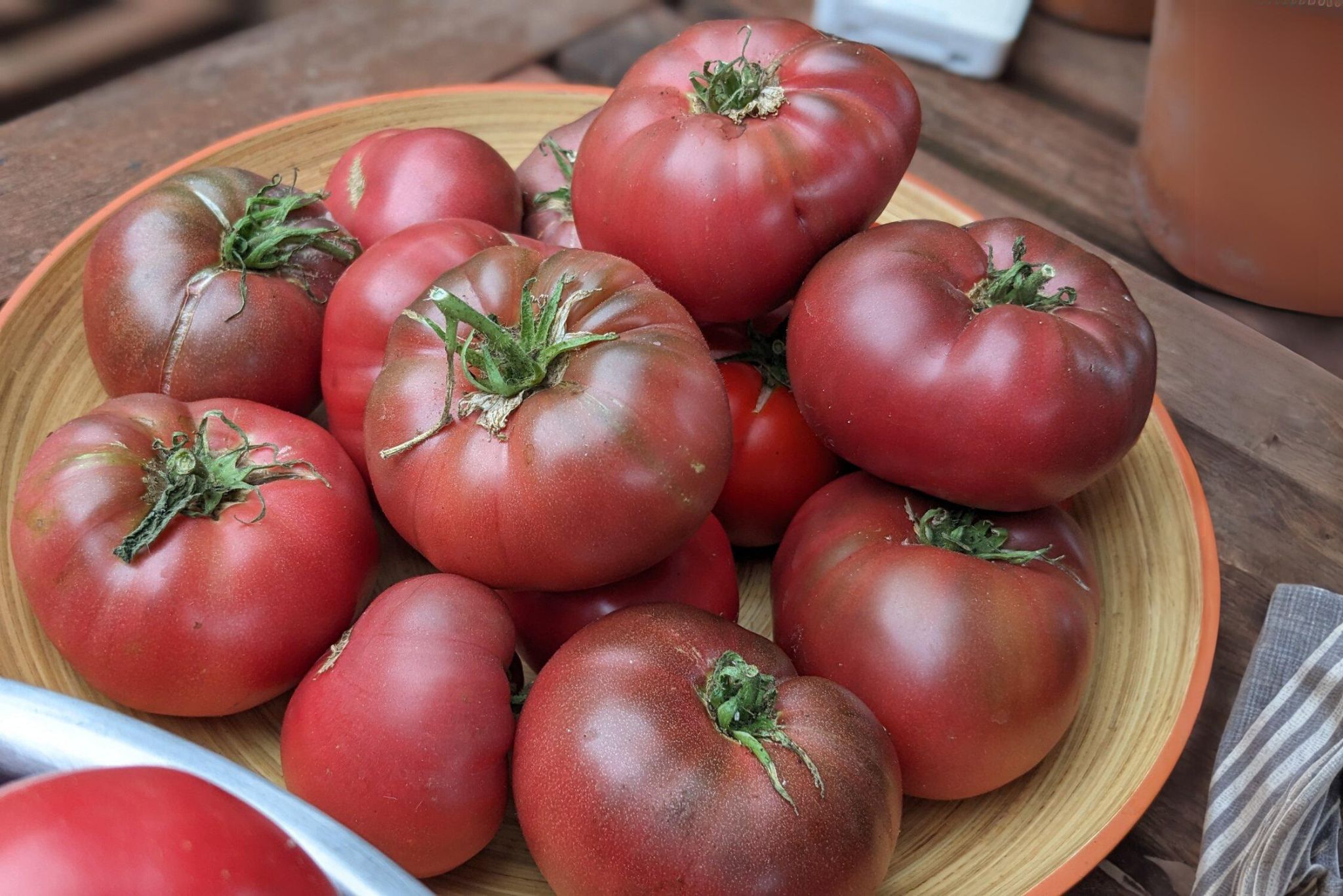 Harvested Carbon tomatoes on a plate