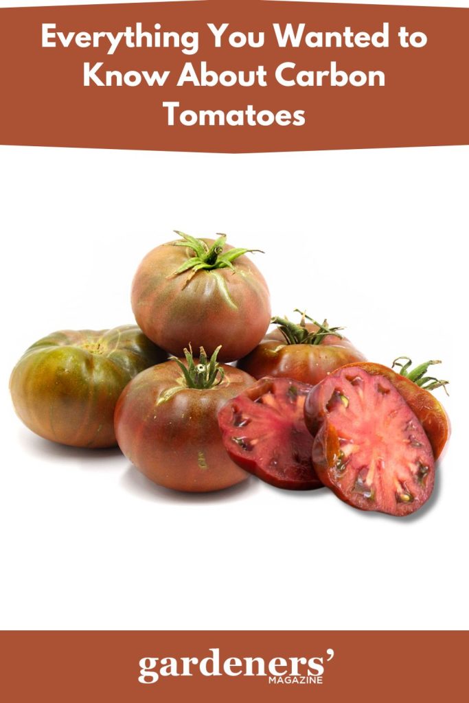 Carbon tomatoes
