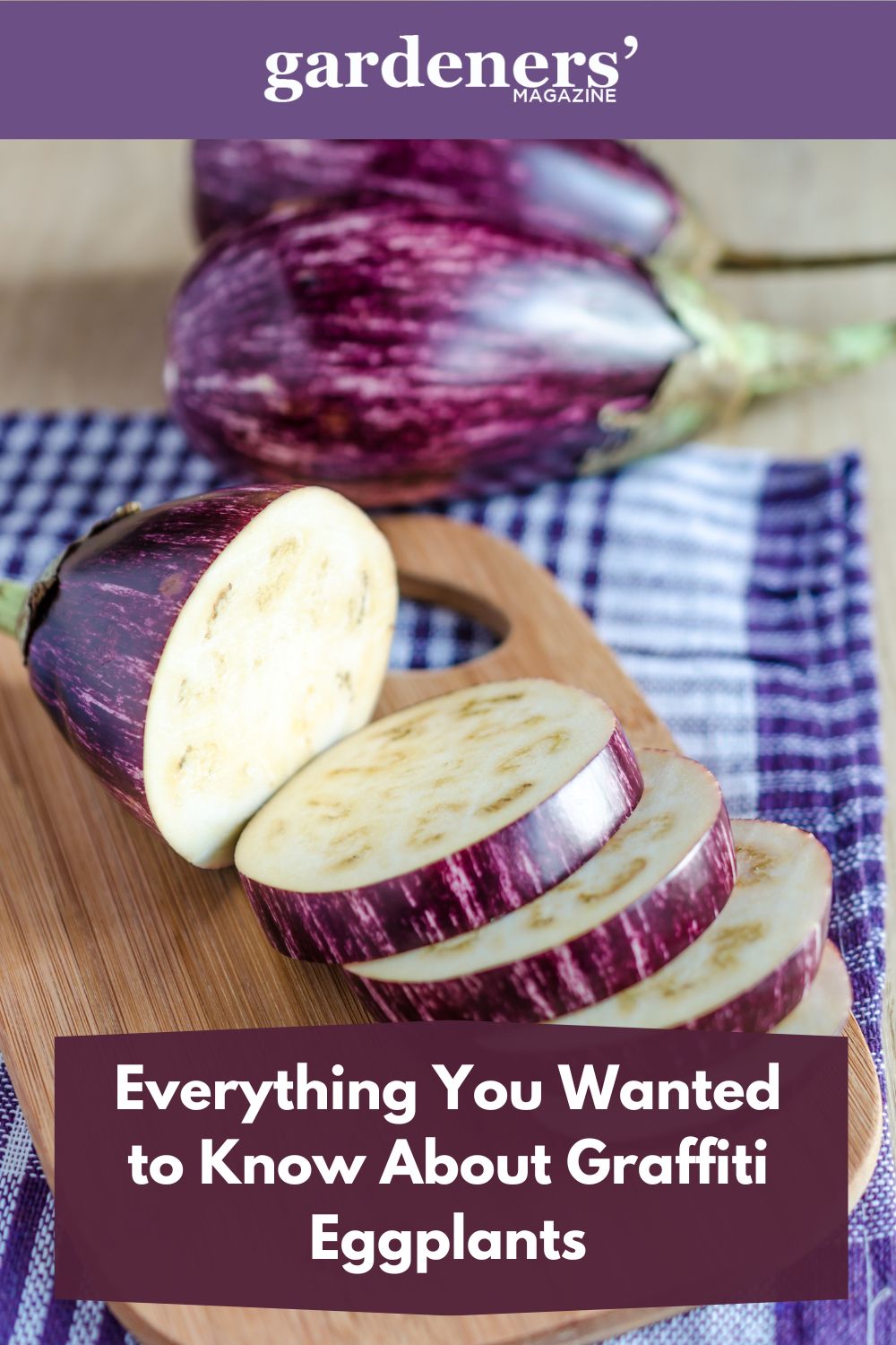 Everything You Wanted To Know About Graffiti Eggplants
