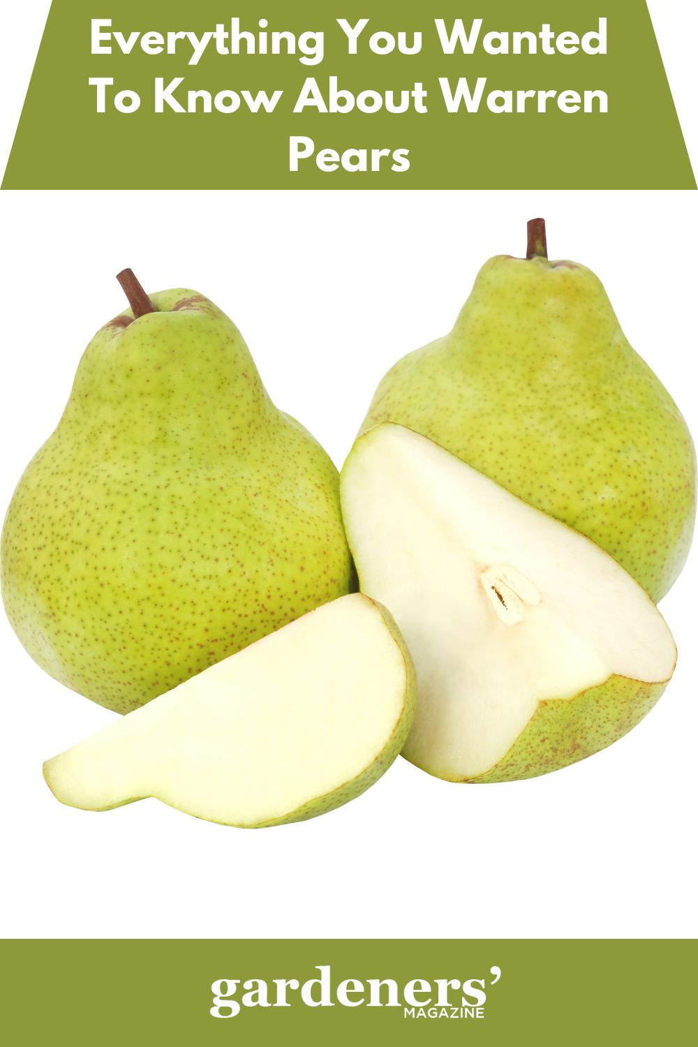 Fresh pear. Груши Пакхам Вильямс. Fresh Pear груша. Груши Пакхам Вильямс, 1 кг. Груша Пакхам Триумф.