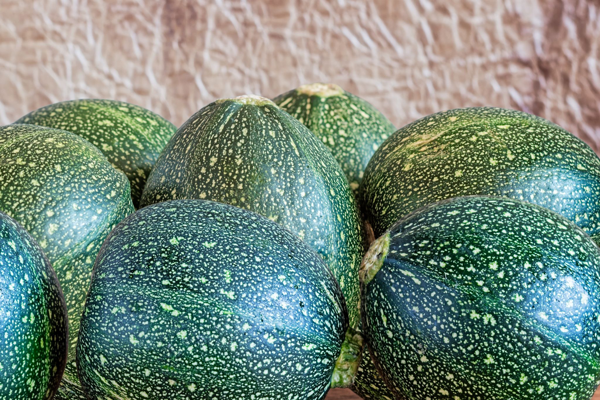 Harvested green eight ball squash