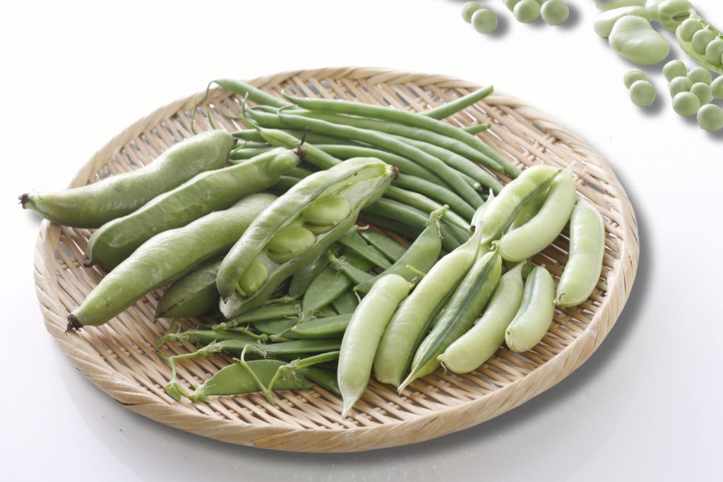 Beans Types and Varieties: A Comprehensive Overview