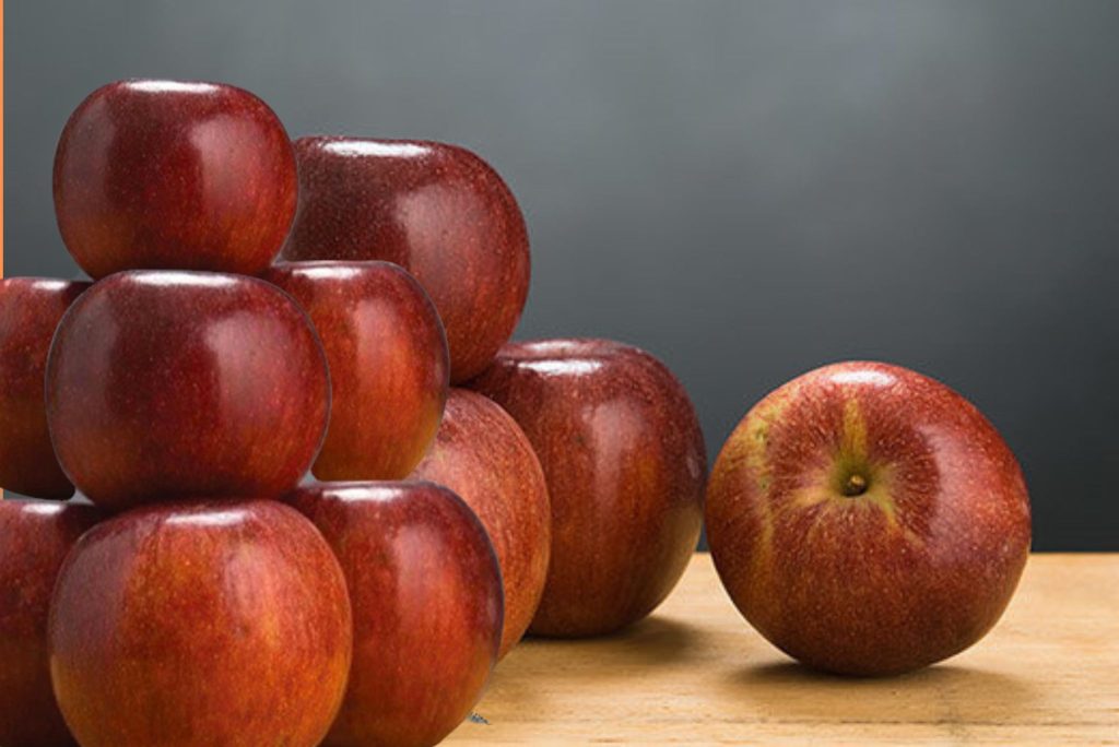 Everything You Wanted To Know About WineCrisp Apples