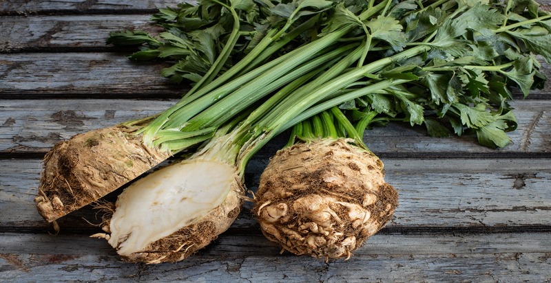 A whole celeriac root with its rough, knobby exterior and creamy white flesh, ready to be transformed into a variety of dishes.




