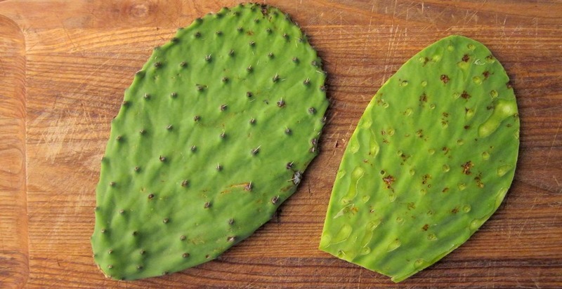 Fresh nopal cactus pads, with their distinctive green color and spiky edges, cleaned and prepared for cooking.