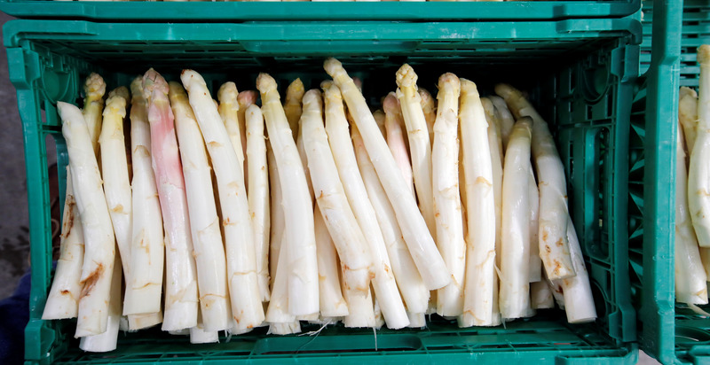   White asparagus in a tray, featuring smooth, ivory stalks neatly arranged, highlighting their delicate and tender texture.