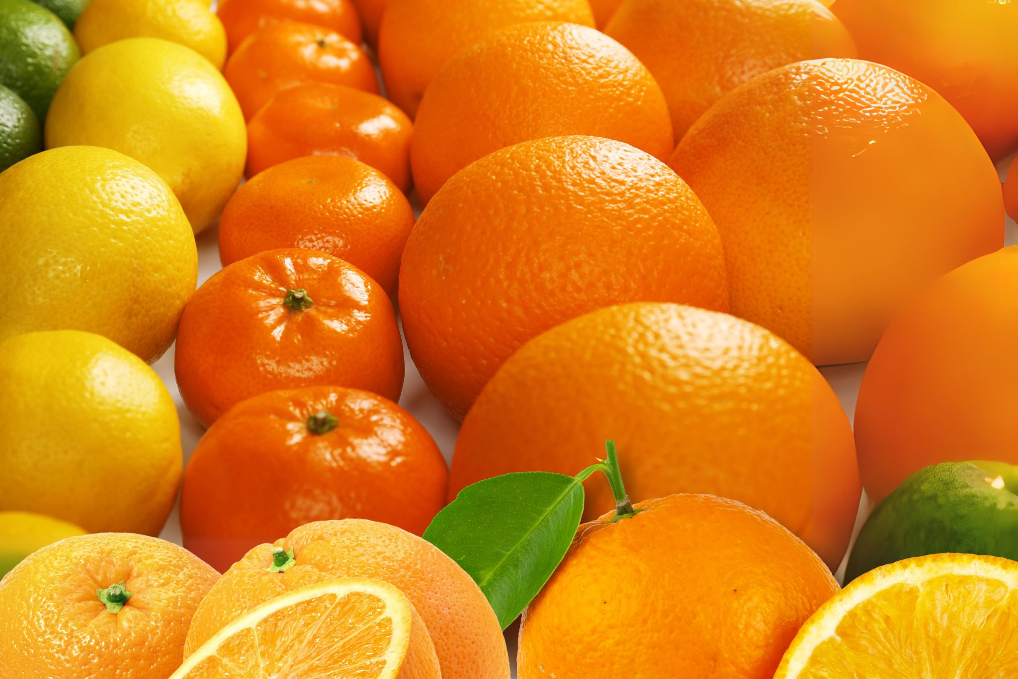 Different types of oranges on a table