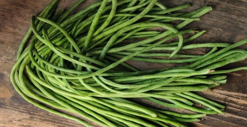 A vibrant pile of freshly harvested yardlong beans, showcasing their impressive length and vivid green color.