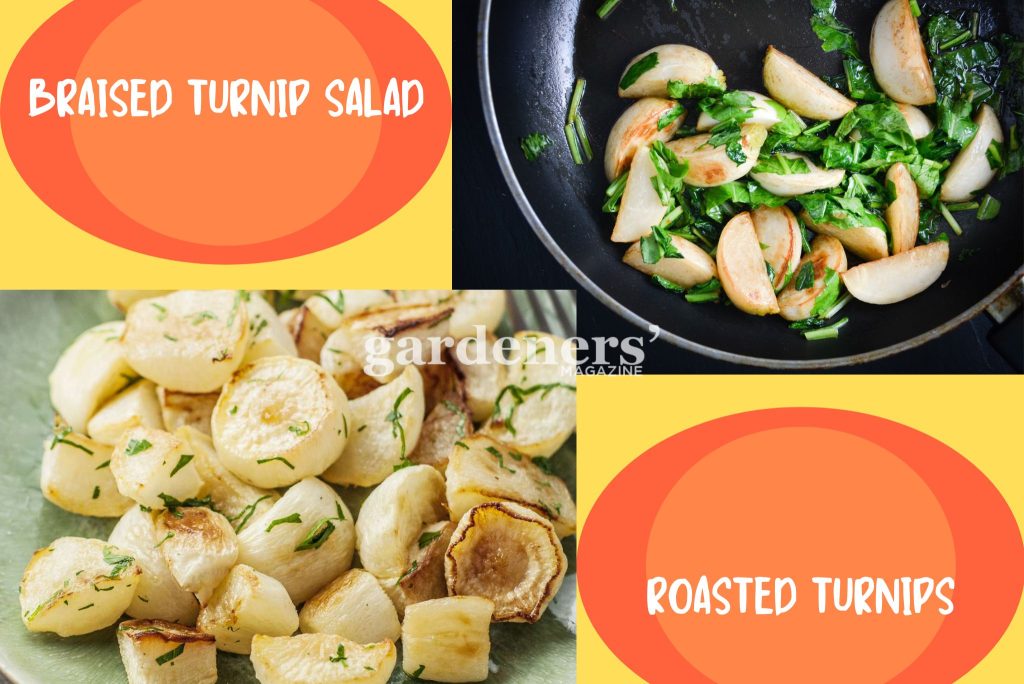 Sweet turnip recipes