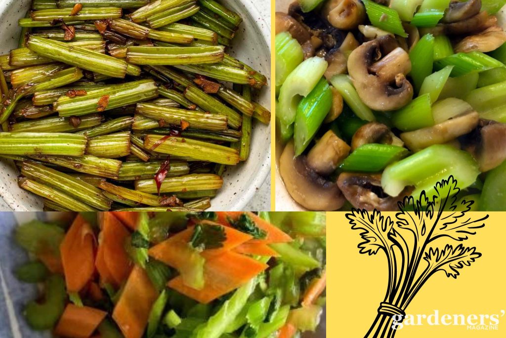 culinary uses of Chinese celery (1)