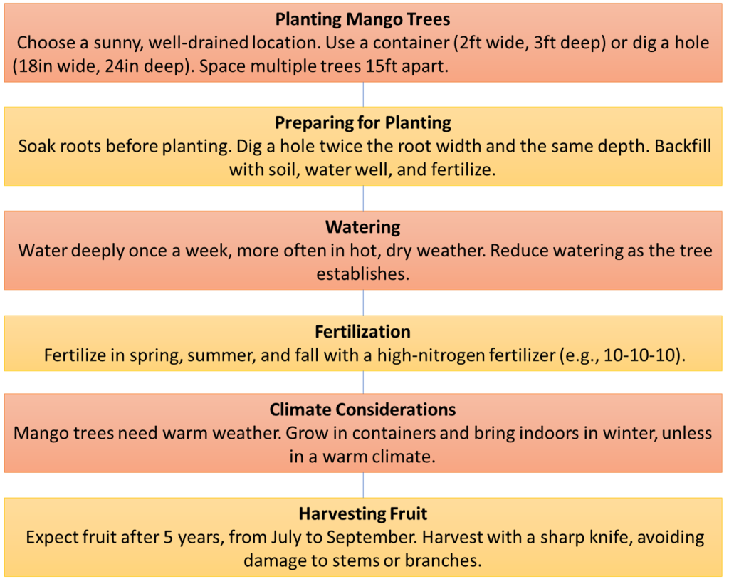 flowchart showing steps to plant a mango tree