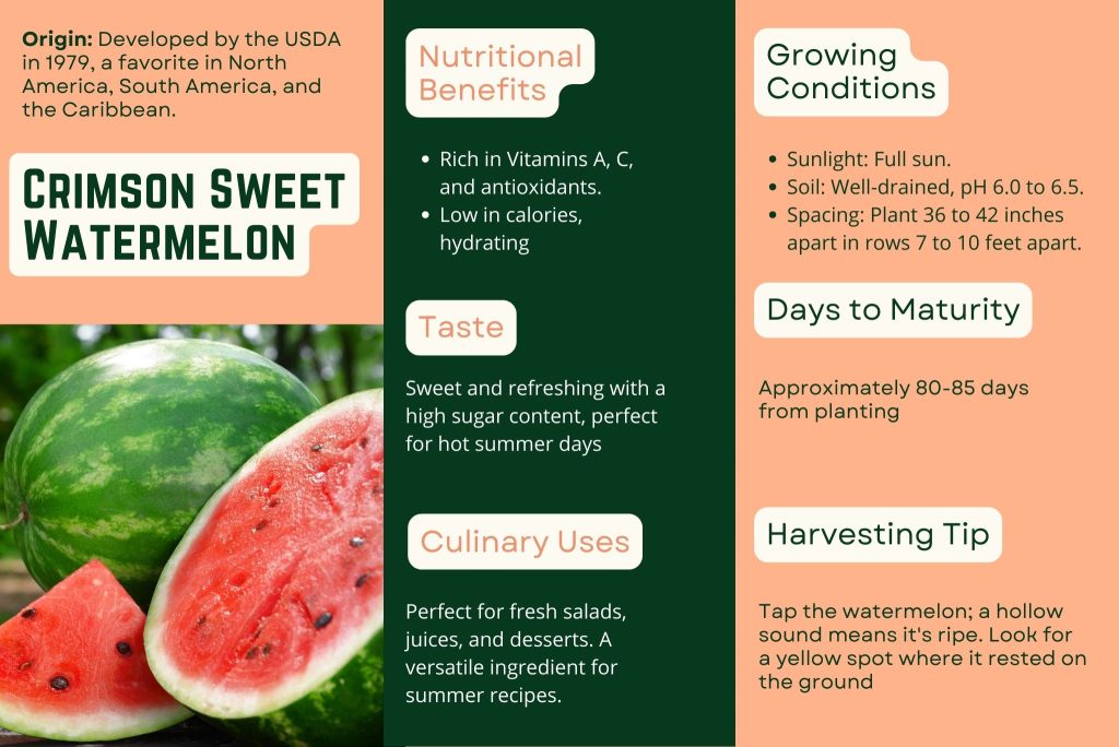 infographic on crimson sweet watermelon