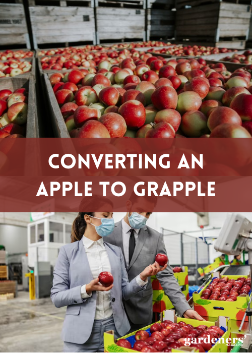 converting an apple to grapple