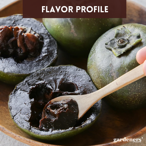 flavor profile of black sapote