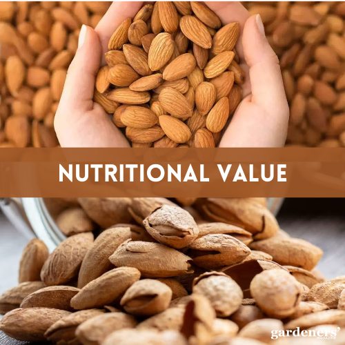 nutritional value of almonds