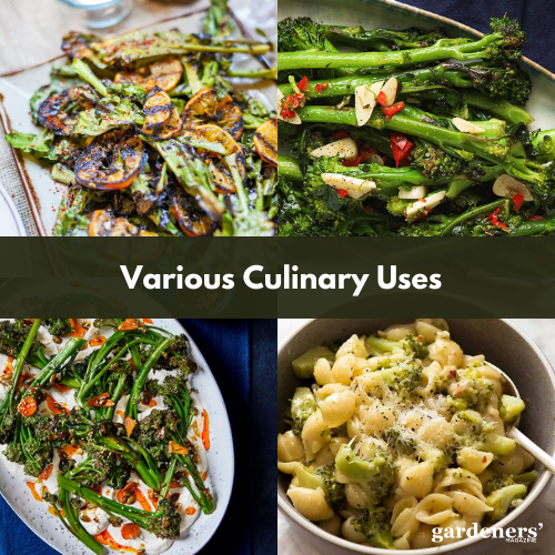 various culinary uses