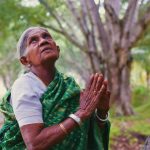 Saalumarada Thimmakka