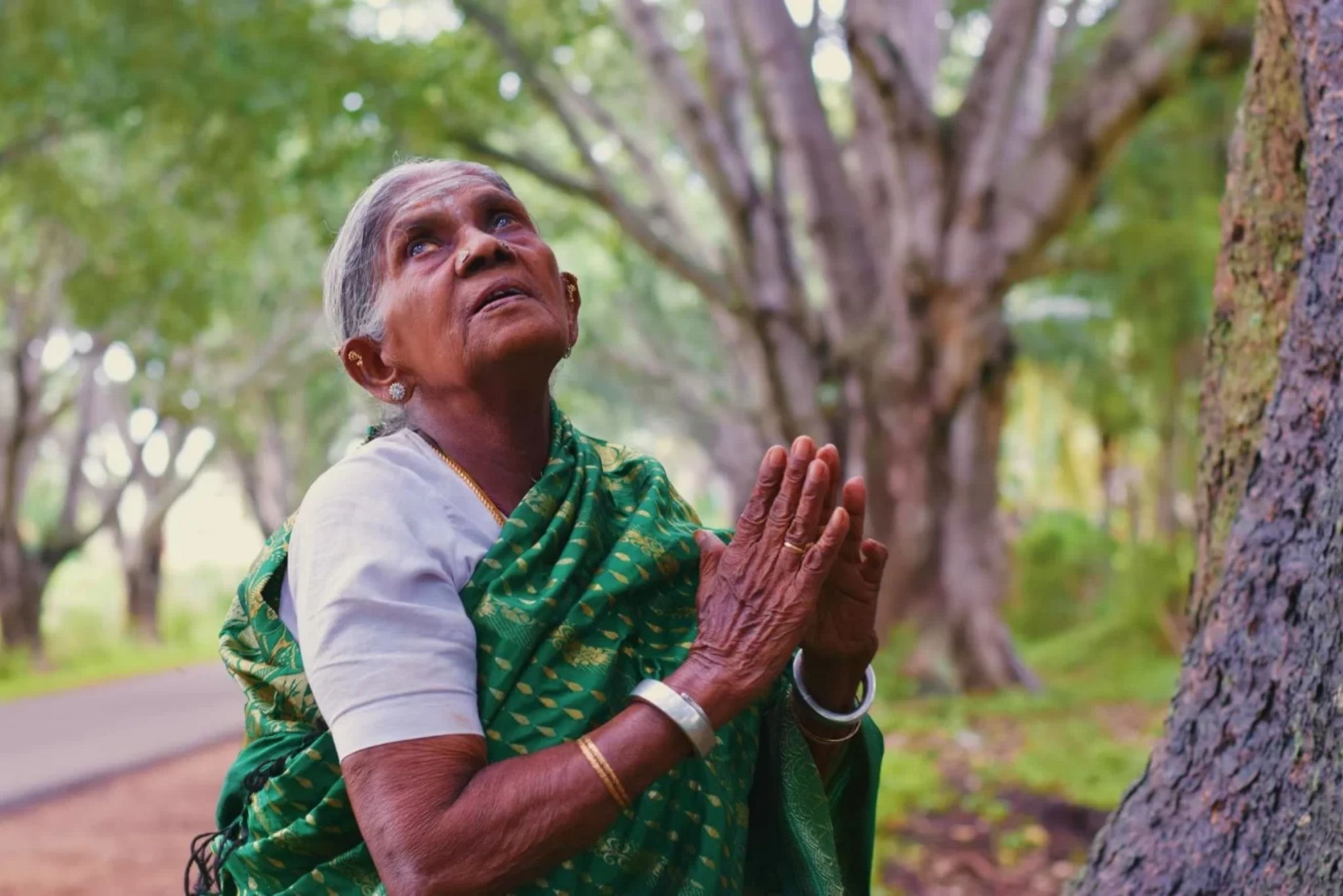 Saalumarada Thimmakka