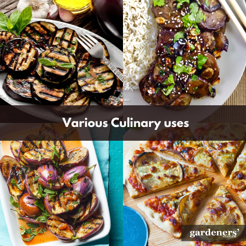 Various culinary uses