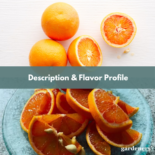 description & flavor profile