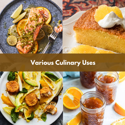 Various Culinary Uses