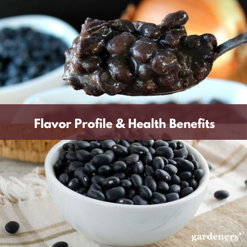 flavor profile & Health Benefits