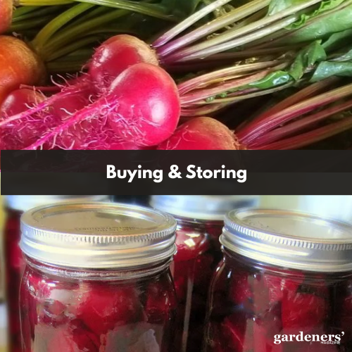 buying and storing