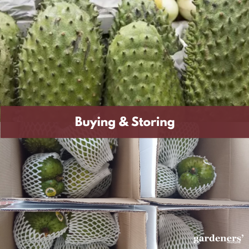 Buying & Storing