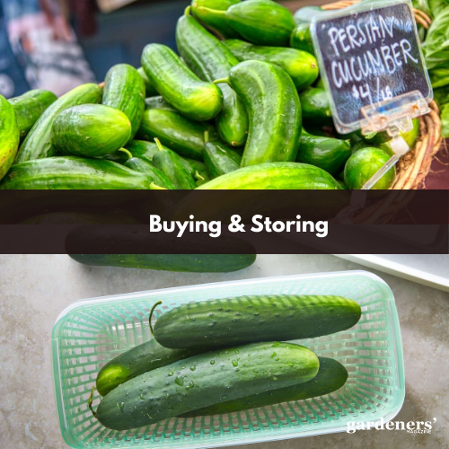 buying & storing