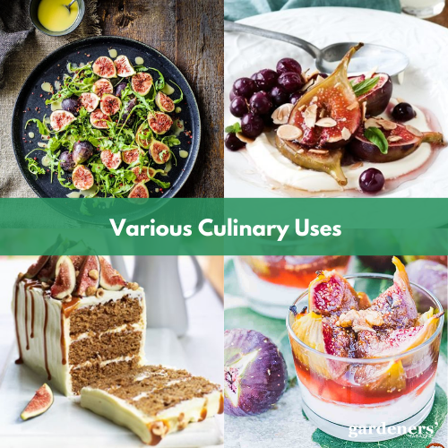 various culinary uses