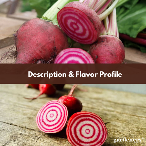 description and flavor profile