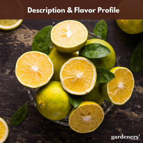 description and flavor profile
