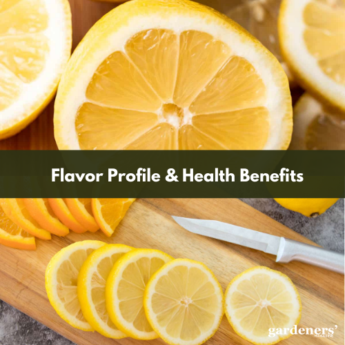 flavor profile & health benefits