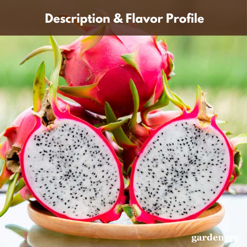 description & flavor profile