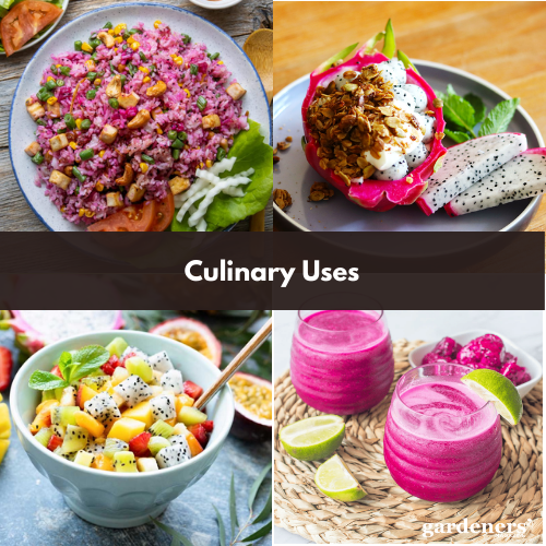 culinary uses