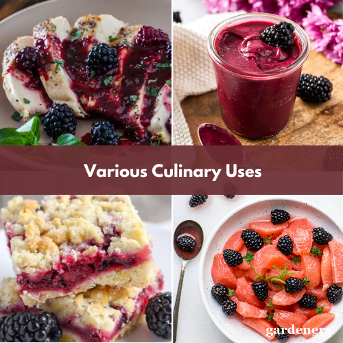 various culinary uses