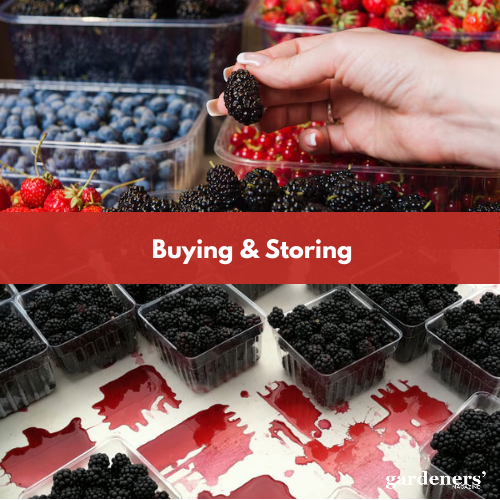 buying and storing