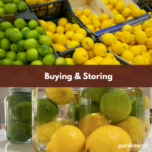 buying and storing