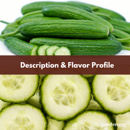 description and flavor profile