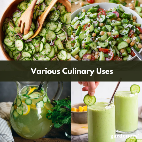 various culinary uses